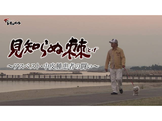 見知らぬ棘～アスベスト・中皮腫患者の闘い～/見知らぬ棘～アスベスト・中皮腫患者の闘い～