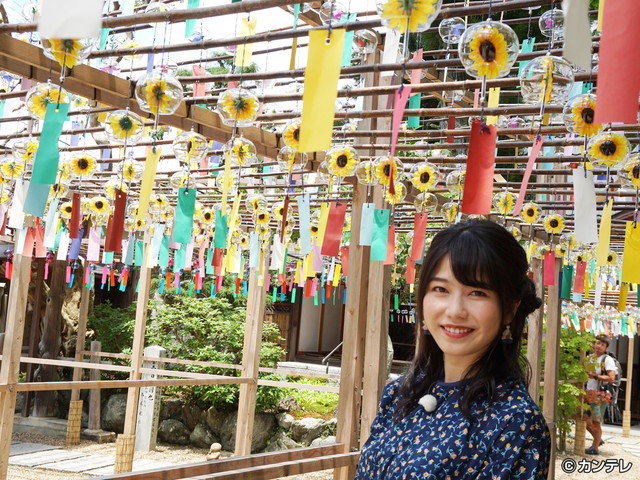 横山由依（AKB48）がはんなり巡る　京都 いろどり日記/第６１回 緑あふれる自然に包まれた人気スポット