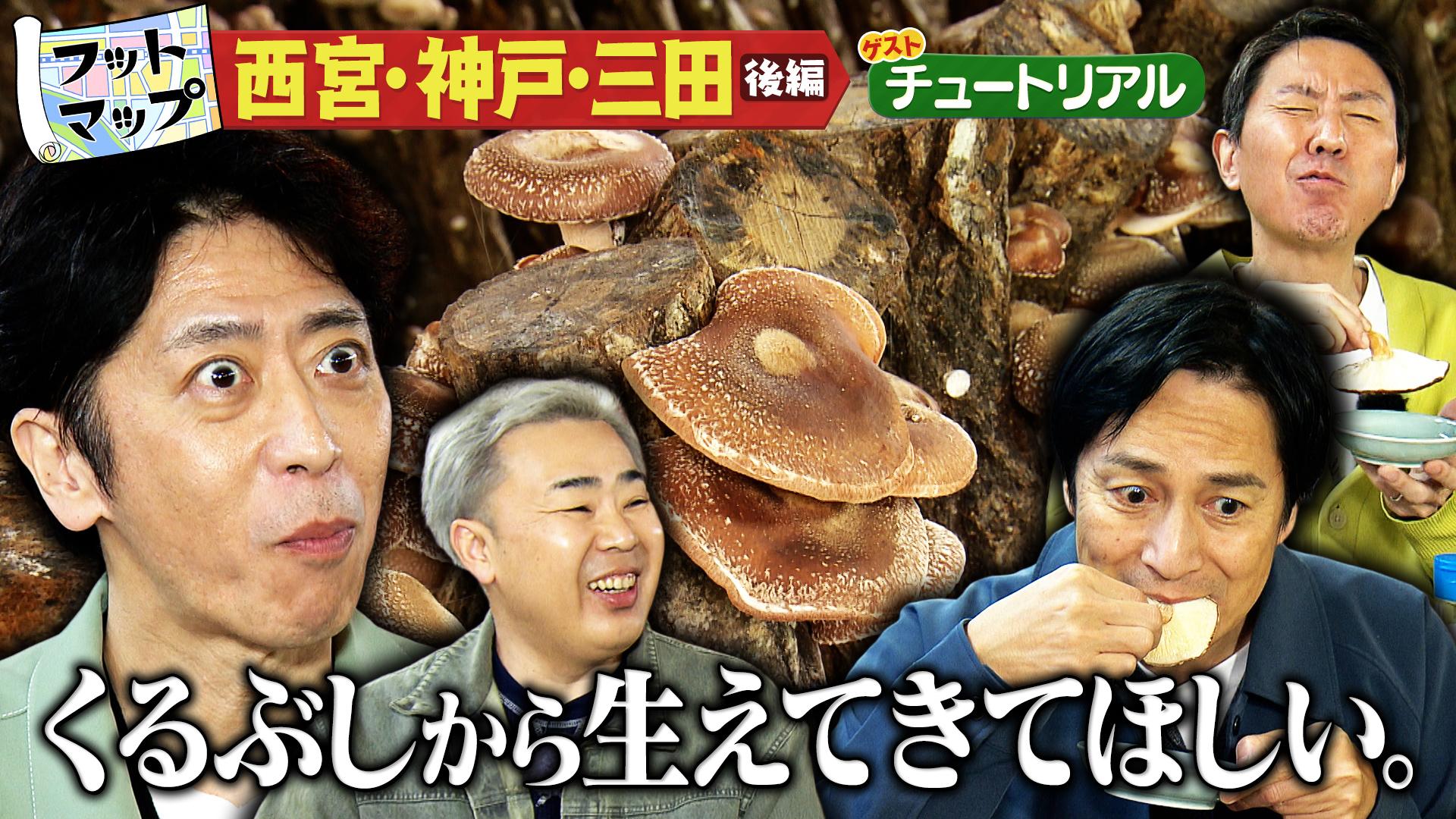 フットマップ
