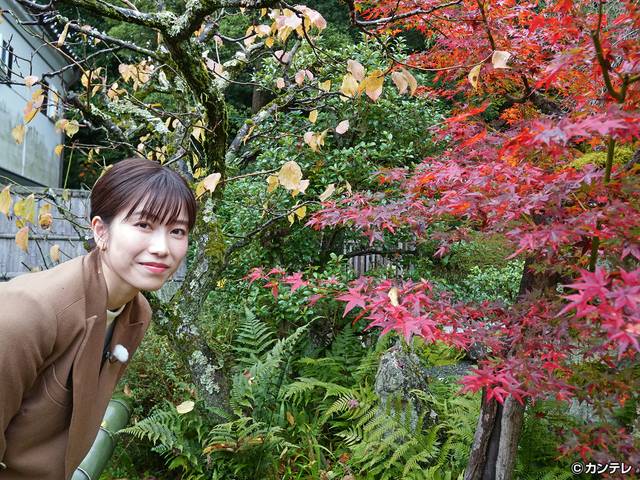 第９８回 心惹かれるままに紅葉の京都を散策