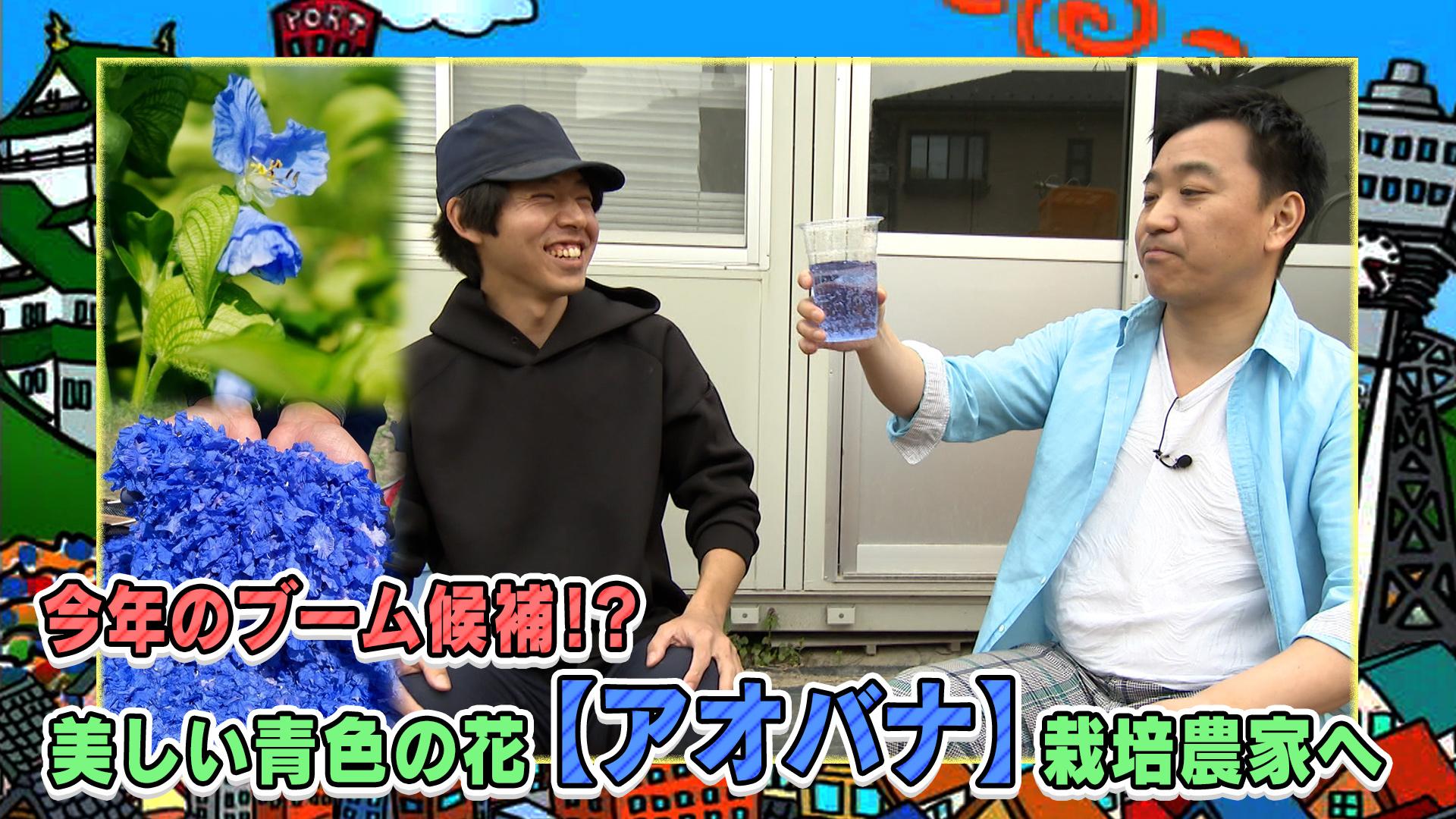 土曜日もよ～いドン！