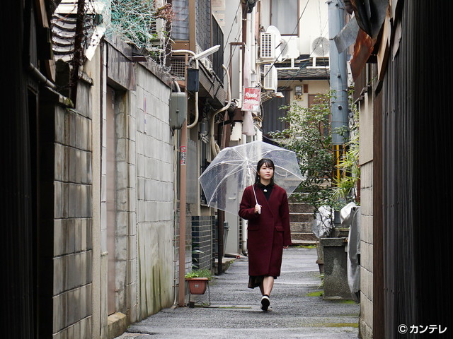 横山由依（AKB48）がはんなり巡る　京都 いろどり日記/第６９回 京都の路地をゆいはんが上ル下ル