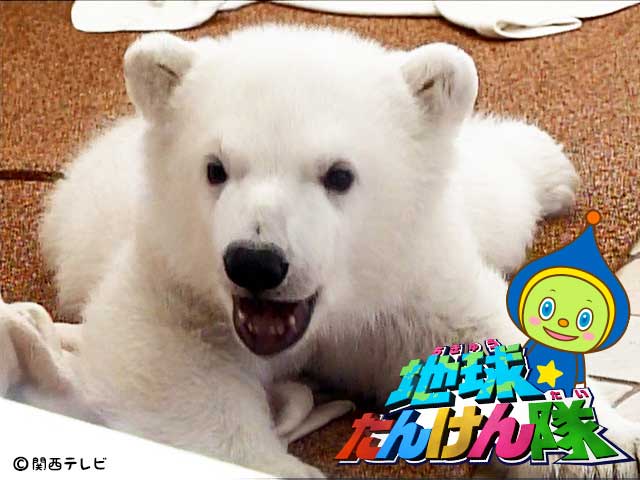 関西テレビ カンテレドーガ