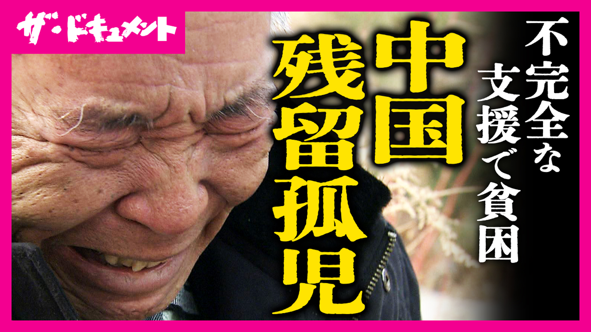 ザ・ドキュメント