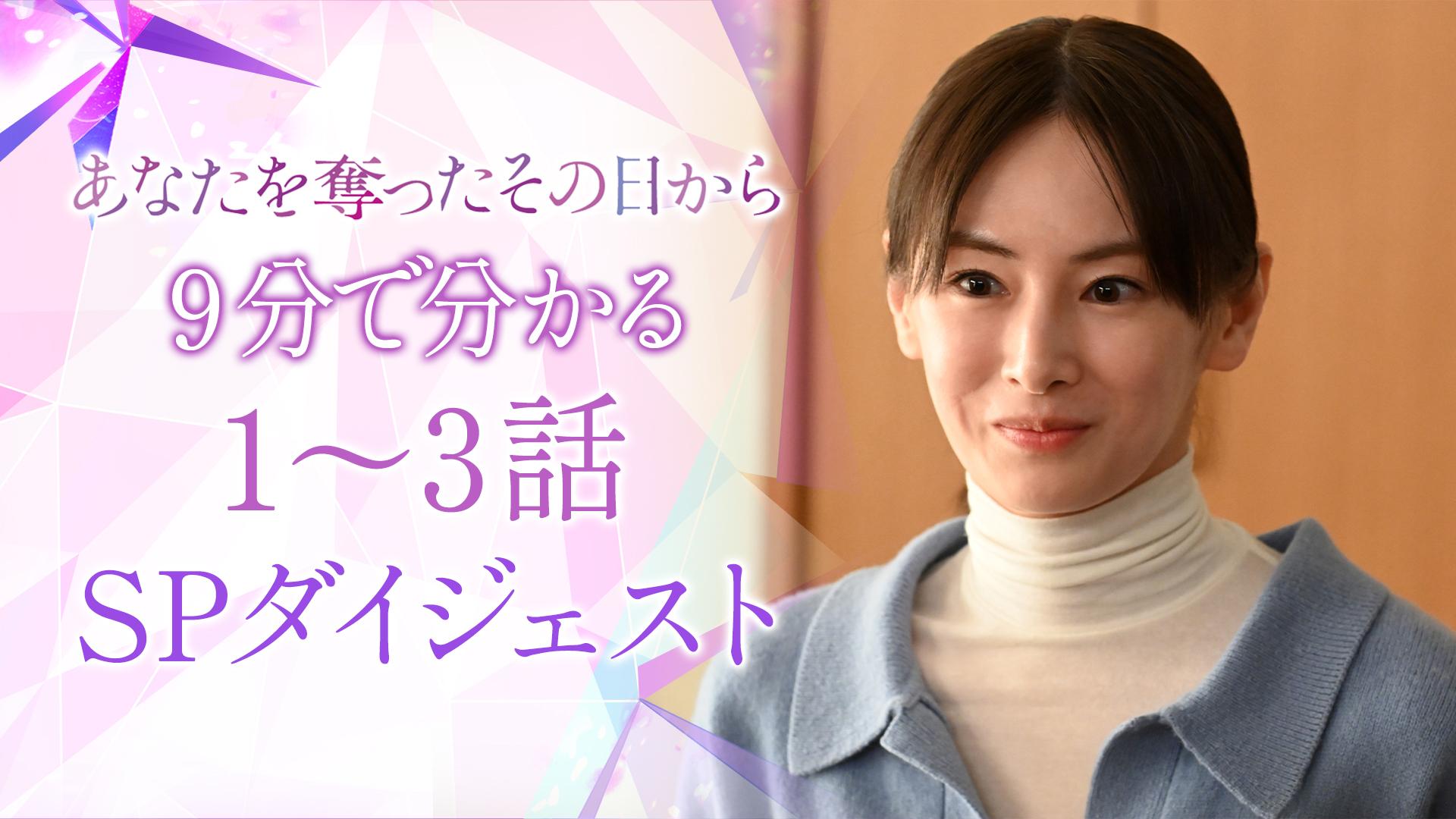 あなたを奪ったその日から　９分でわかる SPダイジェスト