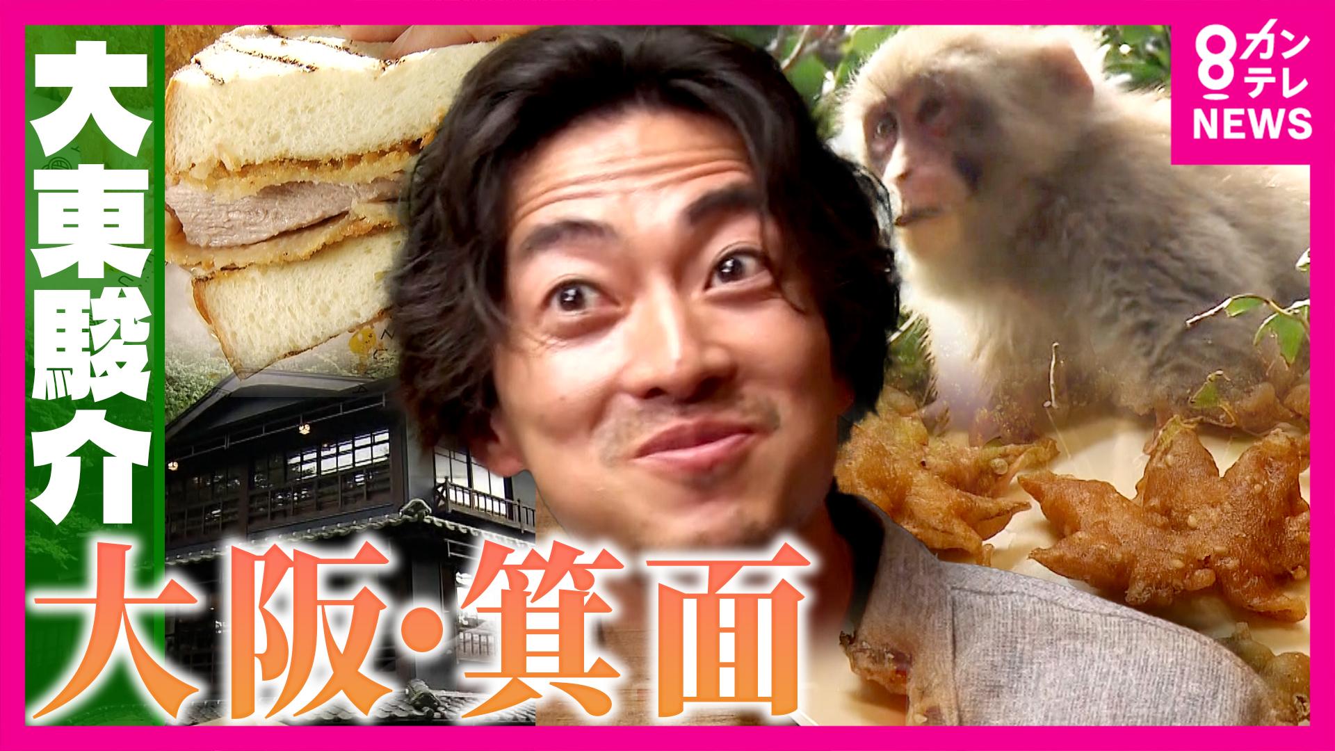 大東駿介の発見！てくてく学