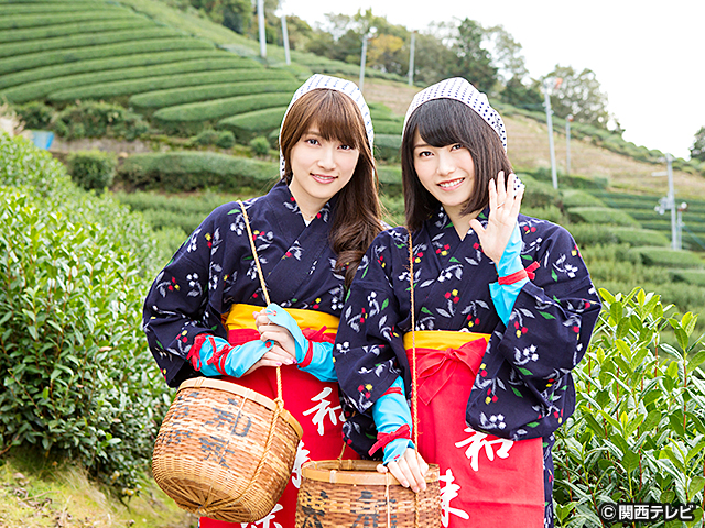 横山由依（AKB48）がはんなり巡る　京都 いろどり日記/第２９話 ～ゆいはん＆あんにん 秋の京都やましろ2人旅～