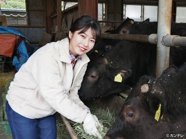 横山由依（AKB48）がはんなり巡る　京都 いろどり日記/第８０回 幻の京の食材で究極のすき焼き