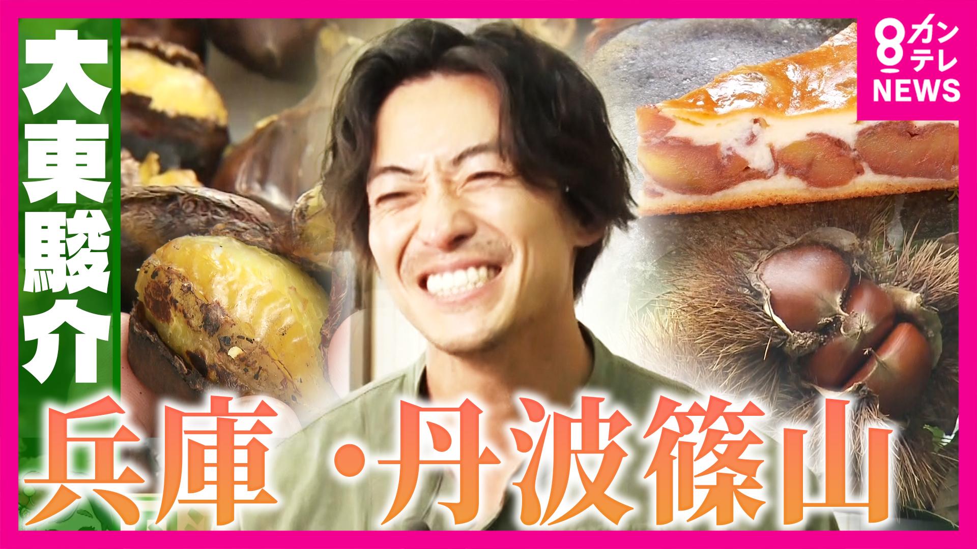 大東駿介の発見！てくてく学