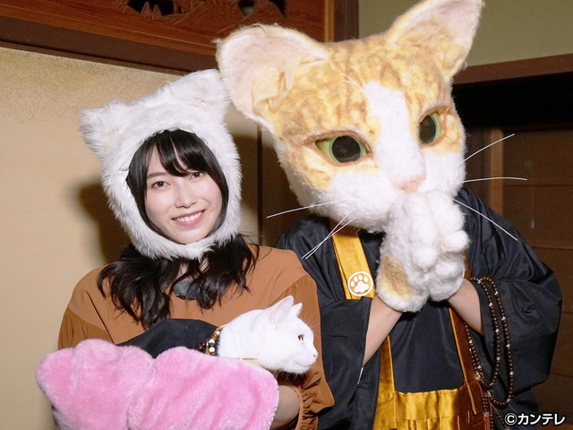横山由依（AKB48）がはんなり巡る　京都 いろどり日記/第６３回 京都の新アートスポット巡り