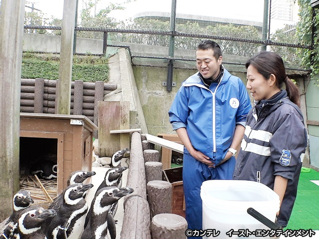 セブンルール/#54　水族園で1万3千匹の命を守る獣医師
