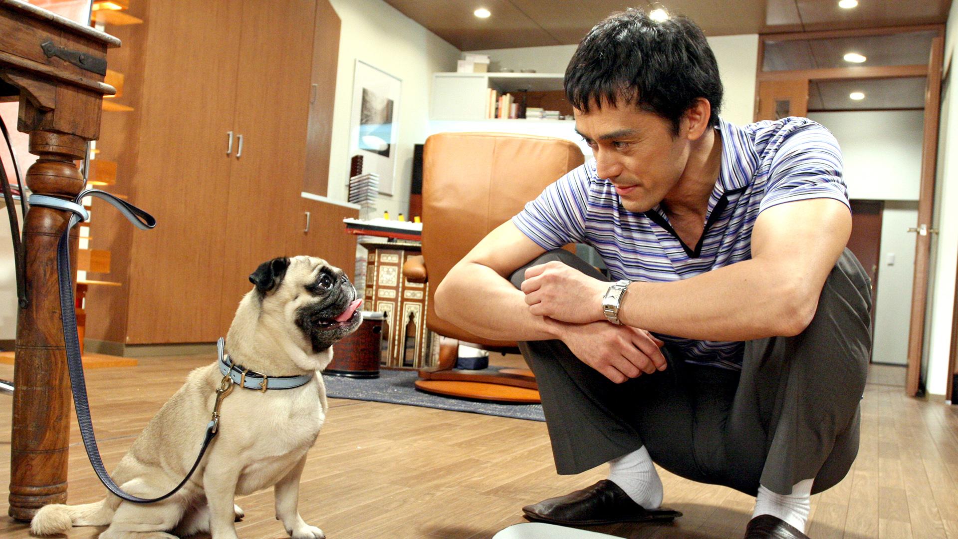 結婚できない男#8