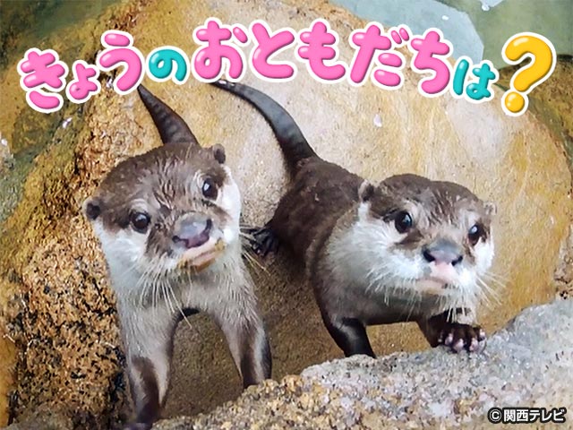 【会員無料】きょうのおともだちは？
