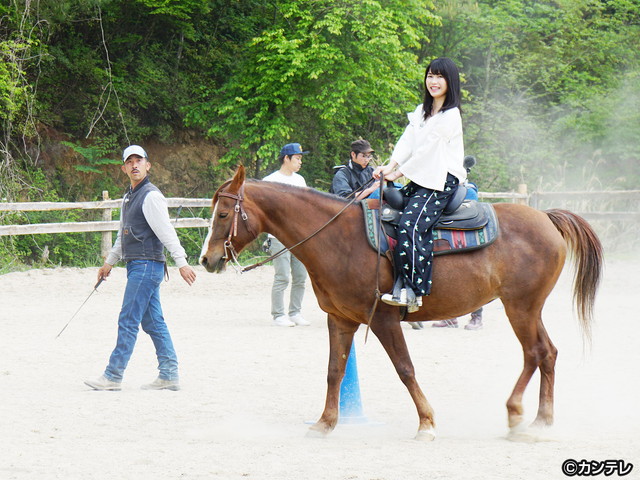 横山由依（AKB48）がはんなり巡る　京都 いろどり日記/第５９回 京の穴場で癒しの休日