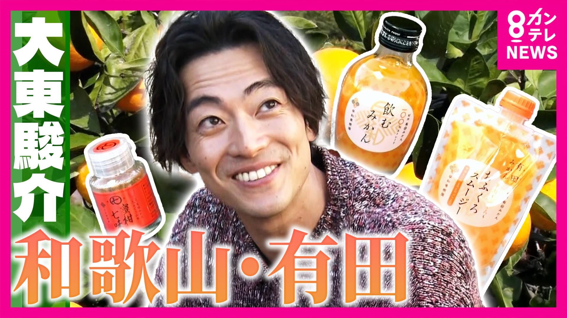 大東駿介の発見！てくてく学