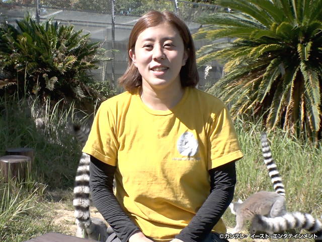 セブンルール/#169　霊長類専門動物園でサルたちと向き合う飼育員