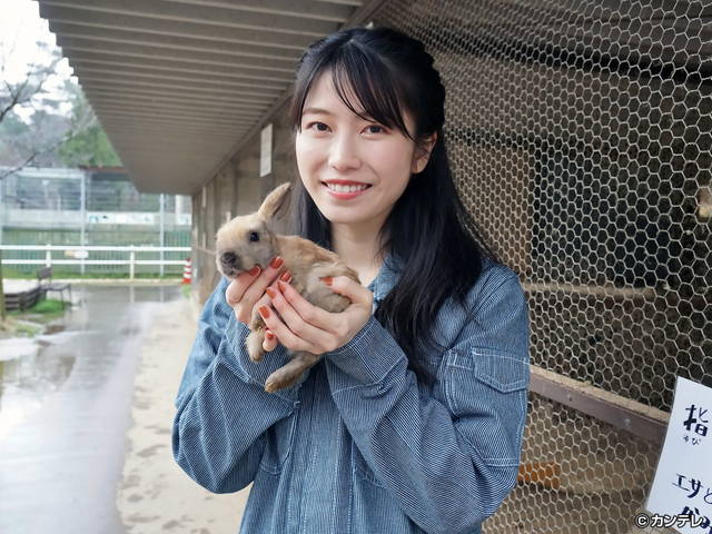 横山由依（AKB48）がはんなり巡る　京都 いろどり日記/第８１回 光秀が築いた福を知る城下町へ