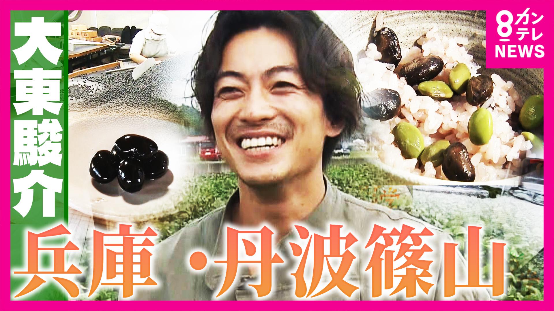 大東駿介の発見！てくてく学