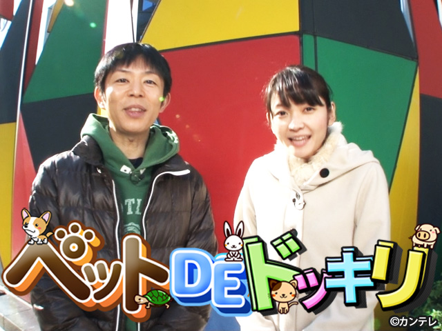【会員無料】ペットＤＥドッキリ