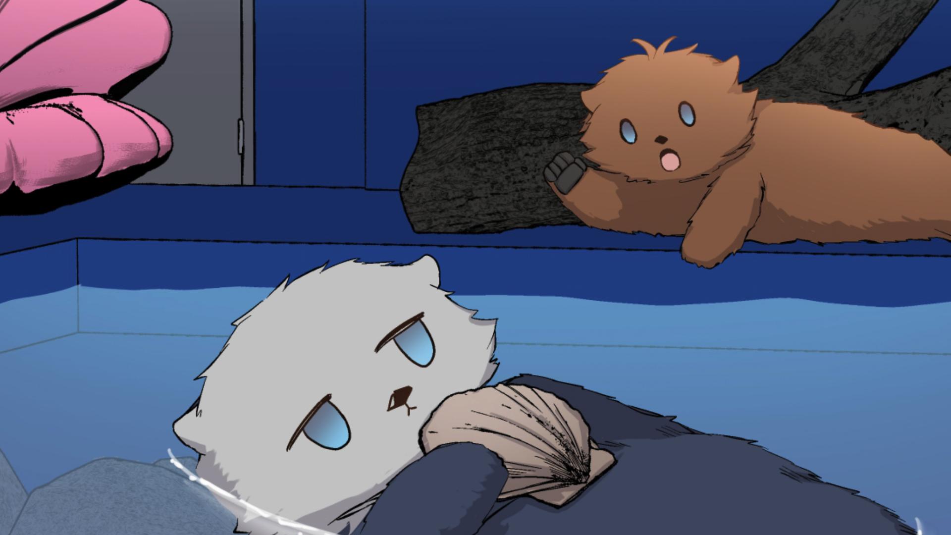 アニラとココラ