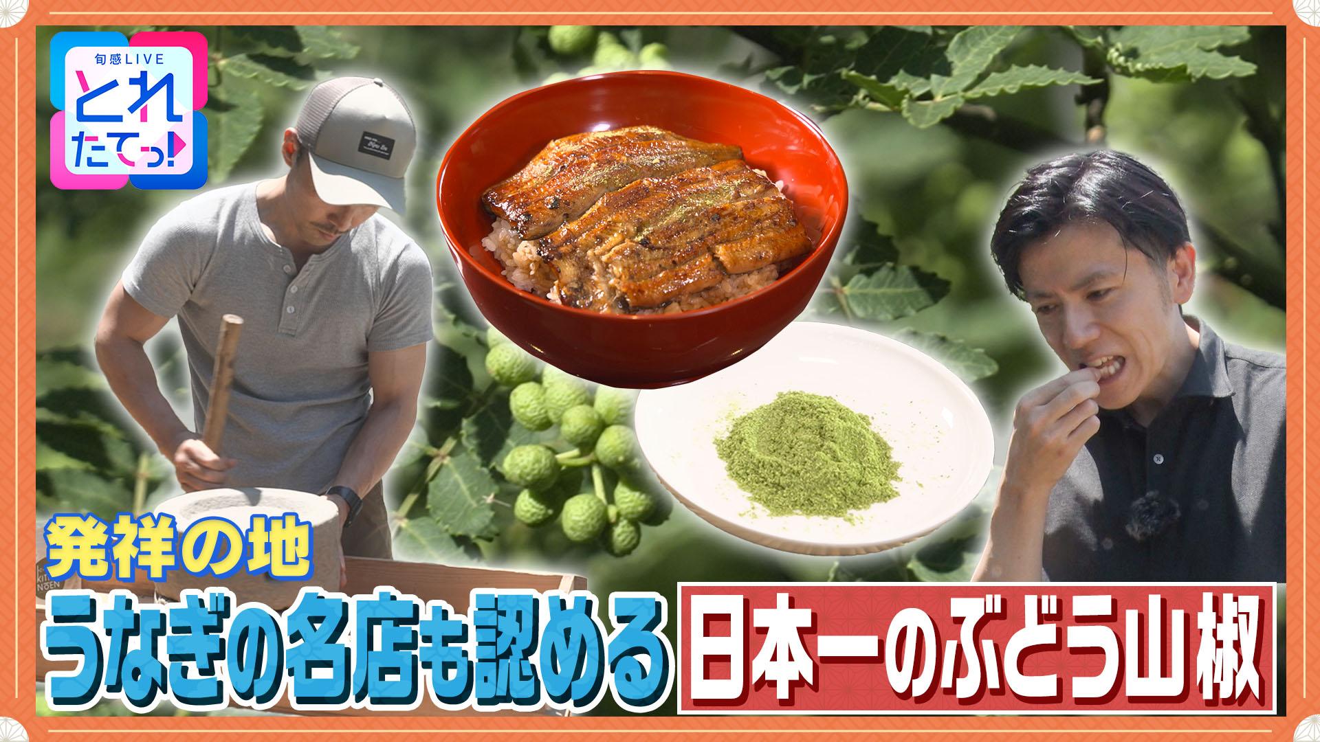 モノづくりの源場～なくしたくないニッポン　【ぶどう山椒】日本一の品質を！発祥地のプライド　2025/07/11放送分