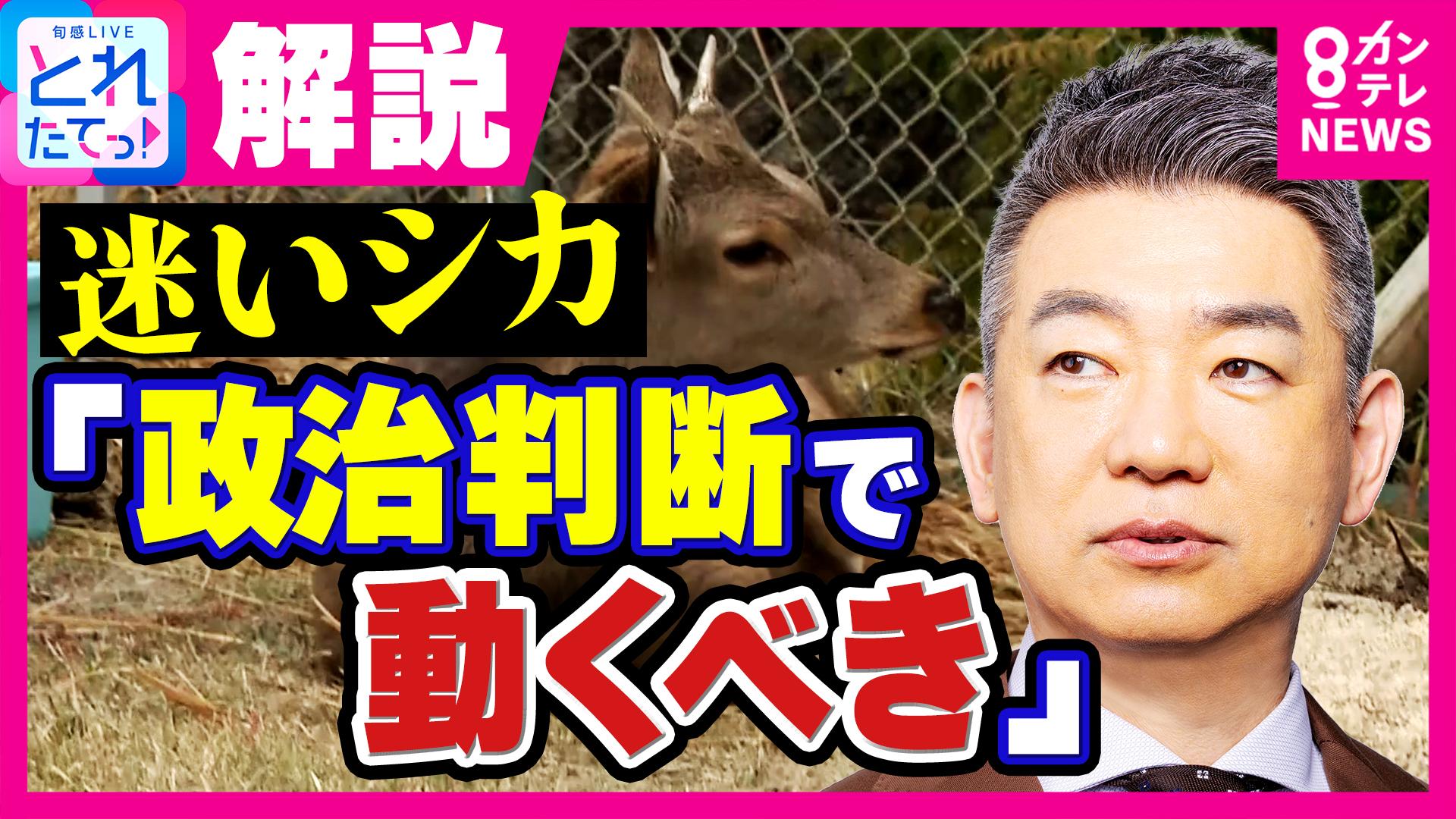 旬感LIVE とれたてっ！