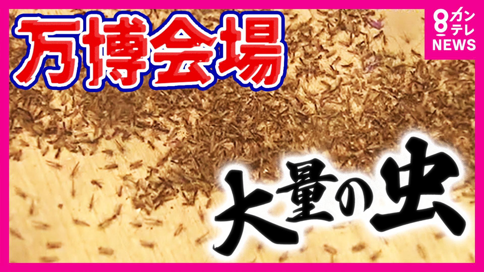 newsランナー
