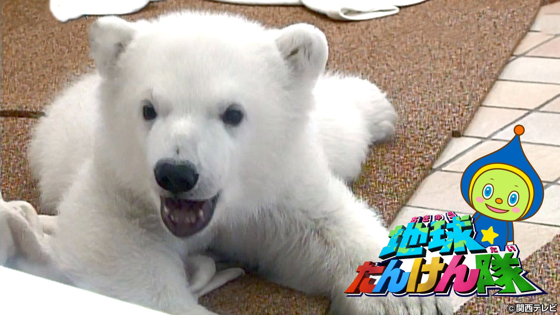 地球たんけん隊