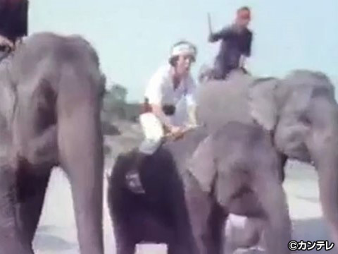征平の挑戦/#6 征平、タイで象に乗る！